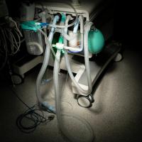 From the series "Beyond Fragments" | DER GREIF