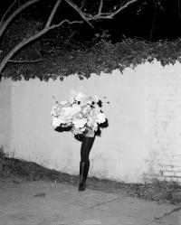 untitled | DER GREIF