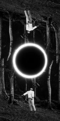 Untitled | DER GREIF