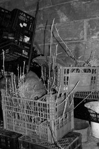 Dark Activity | DER GREIF