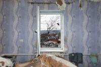 From the Series "Highlight" | DER GREIF