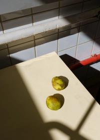 From the series "Vorwiegend festkochend" | DER GREIF