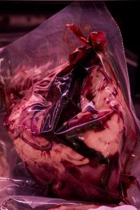 "Heart", Belgium, 2018 | DER GREIF