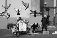 Untitled from the series "Mijn Mokum", Amsterdam, 2025 | DER GREIF