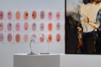 Szilvia Bollas' installation © Orhan Cem Çetin and Eflâtun Derin Çetine | DER GREIF