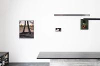 Der Greif Studio x mirror., Munich | DER GREIF