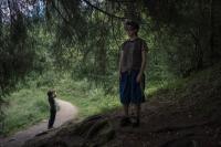 DER GREIF