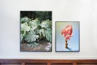 Der Greif Studio x Max Brown Milan Missori | DER GREIF