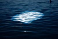 Chen Chuanduan, "Mayfly in the sea" from "transparent like a beast" | DER GREIF