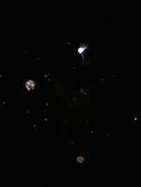 Sam Montalbetti, From "Chats With The Dead", Montreal, Canada, 2024 | DER GREIF