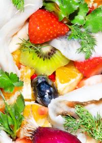 Slav Gaze | DER GREIF