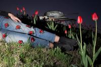 © Lavinia Parlamenti and Manfredi Pantanella | DER GREIF