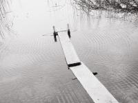 "What Lingers" from the series "Still here, and Gone," Countryside; North of Berlin, Germany, 2026 | DER GREIF