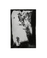 DER GREIF