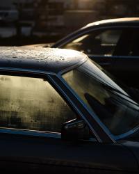 From recent walks | DER GREIF