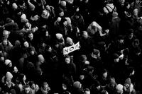 The Quiet Rise | DER GREIF