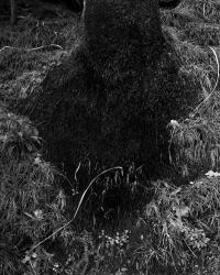 Untitled | DER GREIF