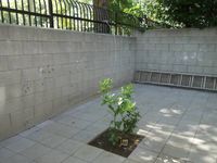 From the series "Craiglist" | DER GREIF