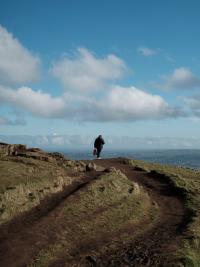 "McArt's Fort" | DER GREIF