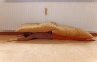 From the series "'Hause' Spiele" | DER GREIF