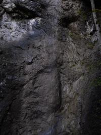 "Impact" | DER GREIF