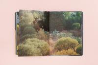 Photobook "Like we could almost live forever" | DER GREIF