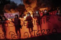 From the series "Forest Ruins", São Paulo, Brazil, 2025 | DER GREIF