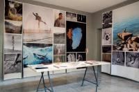 PhMuseum Days Showcase | DER GREIF
