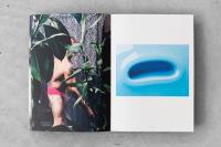 Der Greif Studio Community Capital | DER GREIF