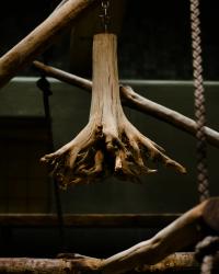 Uncanny Valley | DER GREIF