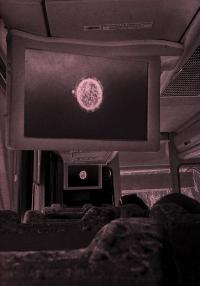 From the series "Hechizo" | DER GREIF