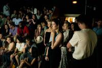 Der Greif Studio Community Capital | DER GREIF