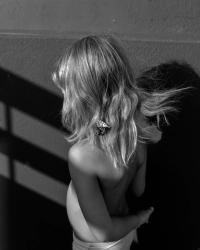 Untitled | DER GREIF