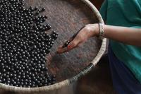 Handmade Sowa Rigpa herbal remedies crafted using traditional methods. | DER GREIF