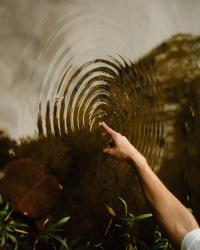 Endotercisus | DER GREIF