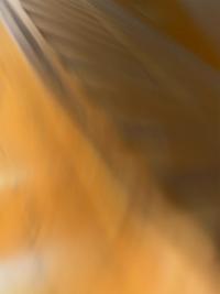 "flow" from the series "amber glitches", Copenhagen, Denmark | DER GREIF