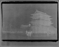 The Solarized | DER GREIF