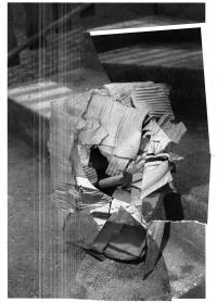 Let Your Eyes Dance | DER GREIF