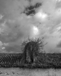 It’s Darkest Before The Dawn | DER GREIF