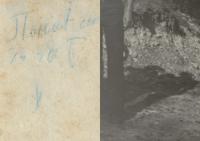 From the series "Ja sam poslednja" | DER GREIF