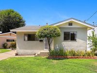 From the series "Craiglist" | DER GREIF