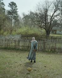 From the series "Ysanthem" | DER GREIF