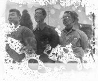 United Amidst the Fray | DER GREIF