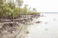"Eroding Coast" | DER GREIF