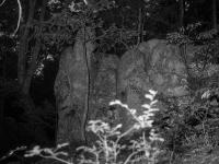 "Murder Rock" | DER GREIF