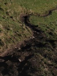 "Desire Line" | DER GREIF