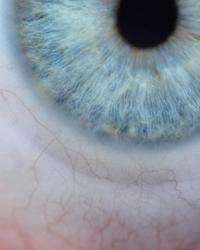 From the series "Les méduses", France, 2023 | DER GREIF