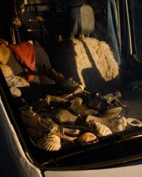 Uncanny Valley | DER GREIF