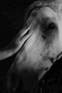 From the series "Ecos" | DER GREIF