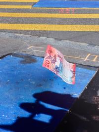 Flying Swiss Franc | DER GREIF